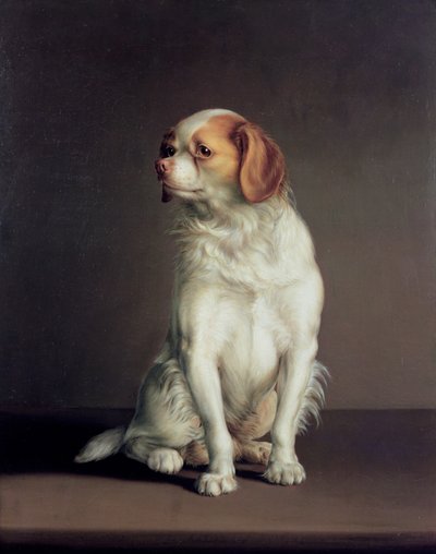 Portrait of a King Charles Spaniel by Louis Leopold Boilly